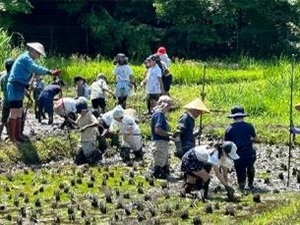 地域と一緒に実施する田んぼの授業